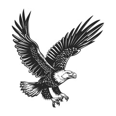 Elegant Silhouette Of A Black And White Eagle Vector Illustration