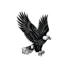 Elegant Silhouette Of A Black And White Eagle Vector Illustration