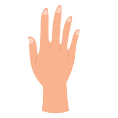 Fototapeta premium Hand Gesture Illustration Isolated on White Background
