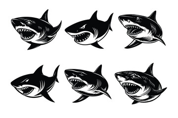 Shark silhouette vector illustration