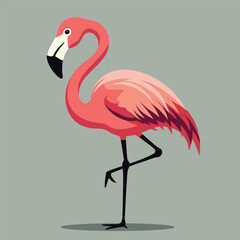 Illustration of a Flamingo Standing on Leg