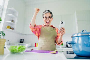 Delighted elderly woman in an apron enjoying a cooking success in a bright kitchen with smartphone enthusiasm