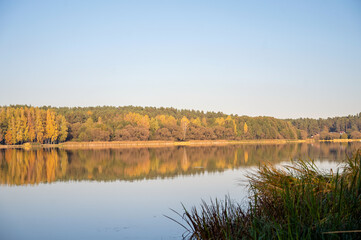 landscape view of a calm lake against the backdrop of an autumn forest