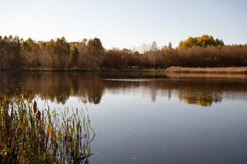 beautiful red fly agaric in the autumn forest