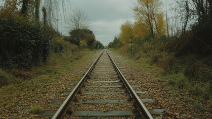 Fototapeta premium Single Railway Track Through Autumnal Woods