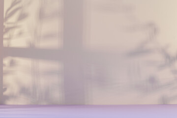 Panorama de fond uni en papier pastel avec ombre d'une fenêtre pour création d'arrière plan.	