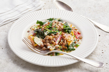 Lentils and mangold in cream sauce