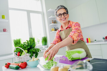 Charming elderly woman chef preparing a healthy gourmet meal in well-lit kitchen