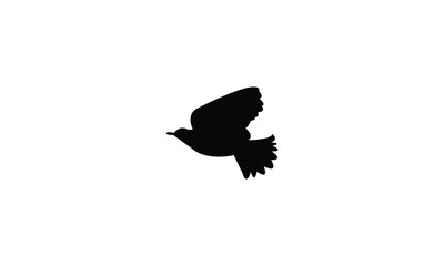 Fototapeta premium Flying Longclaw Bird Silhouette Design And Vector Illustration. 