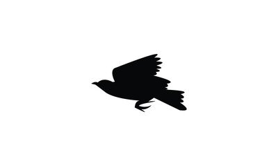 Flying Longclaw Bird Silhouette Design  And Vector Illustration. 