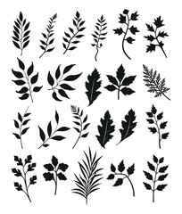 Floral Flower with leaf