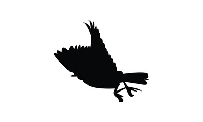 Flying Longclaw Bird Silhouette Design  And Vector Illustration. 