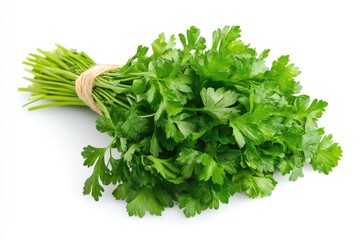 Obraz premium A bunch of fresh parsley leaves with vibrant green color, isolated on white