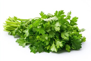 Fototapeta premium A bunch of fresh parsley leaves with vibrant green color, isolated on white