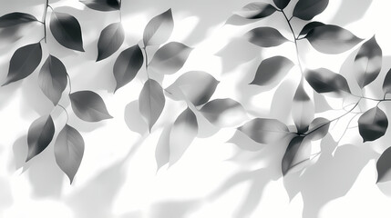 Leaves shadow overlay. Shadowed. Illustration