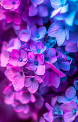 Vibrant neon purple and blue small flowers on a dark background