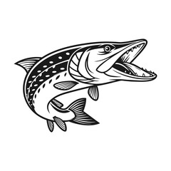 Chain Pickerel Fish Vector Art and Illustration