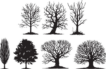 Detail and Natural Tree Silhouette Illustration 