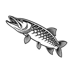 Chain Pickerel Fish Vector Art and Illustration