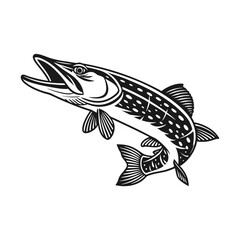 Chain Pickerel Fish Vector Art and Illustration