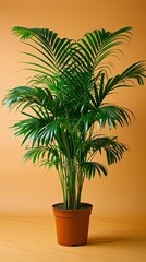 A lush green potted plant against an orange background, enhancing indoor decor.