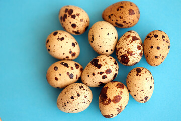Fototapeta premium Few amount of quail eggs in small pile on blue background