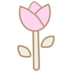 Cute Pink Tulip