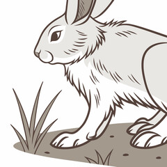 Obraz premium rabbit in the grass