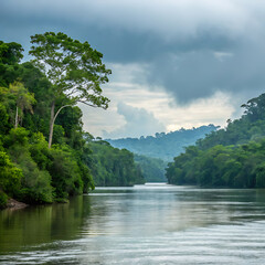 Explore the untouched beauty of the River, a tranquil waterway surrounded by lush green forests and dramatic skies, epitomizing the essence of Borneo's wilderness.