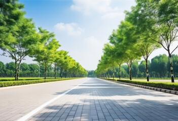 Fototapeta premium Serene Park Boulevard on a Sunny Day