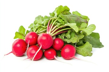 A cluster of bright red radishes with green leafy tops, isolated on a clean white backdrop