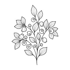 whimsical black and white daisy bouquet: a delicate floral illustration