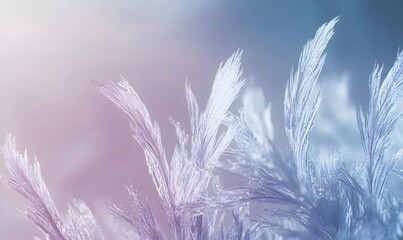 Obraz premium Soft feathers with pastel colors abstract background.