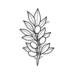 whimsical black and white daisy bouquet: a delicate floral illustration