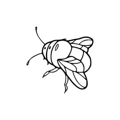 a line art drawing of a bee illustration