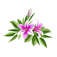 pink flower isolated on white background