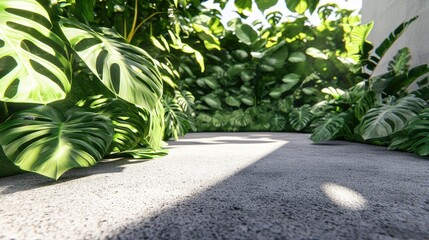 Lush green foliage casting abstract shadows on a textured concrete pathway