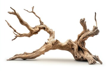 Twisted, gnarled driftwood piece isolated on white background.