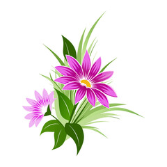 pink and white flowers