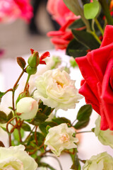 Original flowers made of polymer clay. The most realistic display. Soft focus. Close-up.