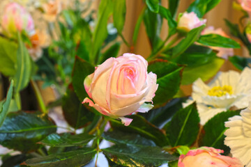 Original flowers made of polymer clay. The most realistic display. Soft focus. Close-up.