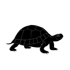 Fototapeta premium Black Turtle Silhouette on White Background