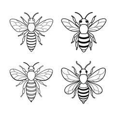 A Set Of Bee Line Art Vector Illustration