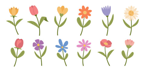 Set of spring flowers, on a white background