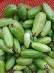 Bilimbi free download