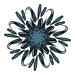 Classic and dynamic mandalas