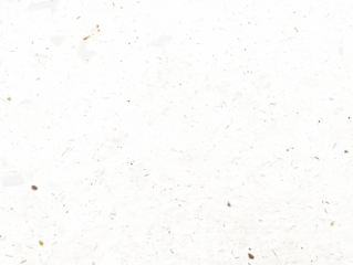 recycled paper texture photographic filter with dust on transparent background