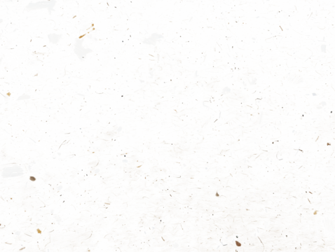 recycled paper texture photographic filter with dust on transparent background