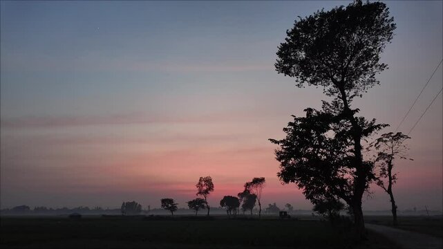 nature, trees, sunset, Evening