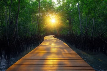 Foto op Plexiglas Serene Walkway Through Lush Mangrove Forest at Sunrise © meka_softpro_hub